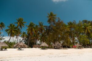 Plage de Zanzibar avec palmiers et sable blanc – Zanzibar pays dangereux